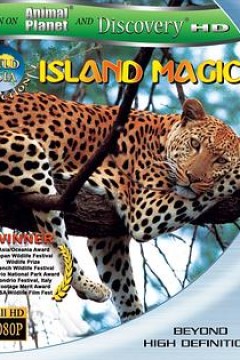 动物星球之惊奇之岛