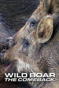 野猪：卷土重来第一季