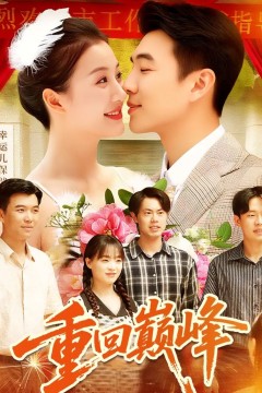 重回巅峰(重生后我站在时代之巅)