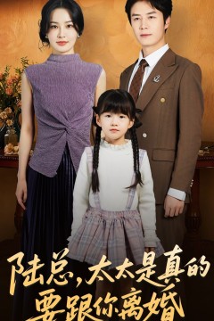 陆总太太是真的要跟你离婚