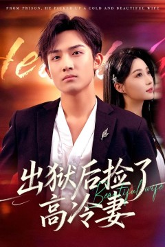 出狱后捡了高冷妻