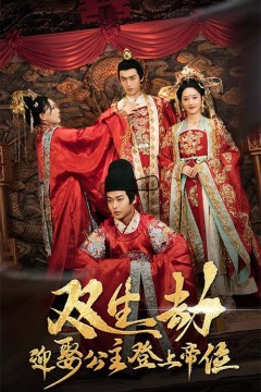 双生劫迎娶公主登上帝位(公主虽丑但智勇双全)(双生劫迎娶公主登帝位)