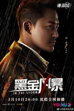 黑金风暴粤语