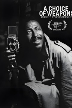 哥顿，派克斯的艺术生涯