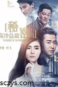 高冷总裁的秘密