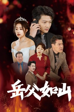 岳父如山(岳父的礼物)