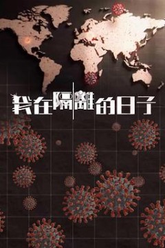 我在隔离的日子粤语