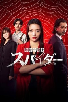 离婚律师蜘蛛抚恤金争夺篇第三季