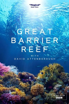 老爵爷的大堡礁之旅