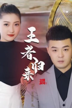 女婿驾到②王者归来