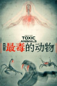 世界上最毒的动物