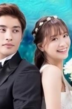 灰姑娘的恋爱契约