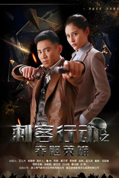 刺客行动之赤胆英雄