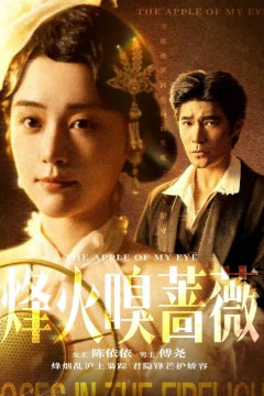 烽火嗅蔷薇(傅爷的心上宠)