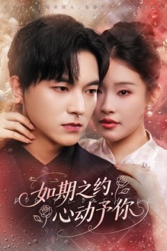 如期之约，心动予你