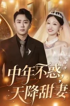 中年不惑，天降甜妻