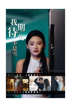 我期待的不是雪