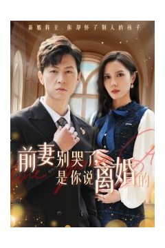 前妻别哭了是你说离婚的