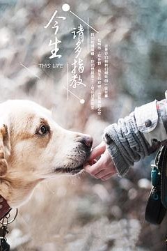 今生，请多指教第三季