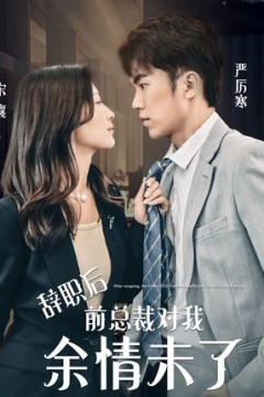 辞职后前总裁对我余情未了