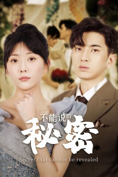 不能说的秘密短剧