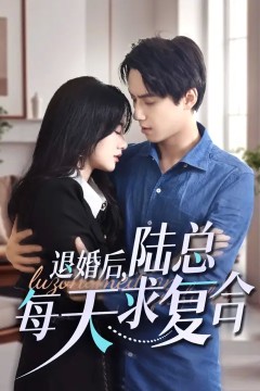 退婚后，陆总每天求复合