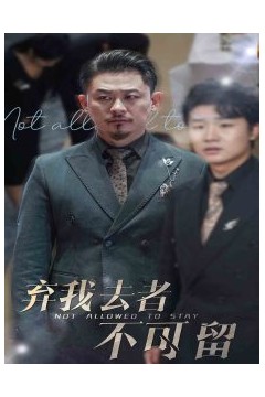 弃我去者不可留