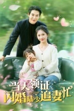 当天领证闪婚陆少追妻忙