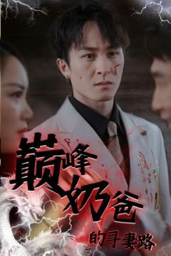 巅峰奶爸的寻妻路