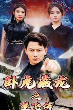 卧虎藏龙之楚飞传