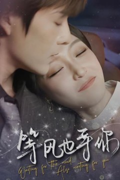 等风也等你