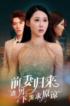 前妻归来渣男下跪求原谅