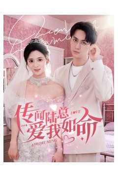 传闻陆总爱我如命