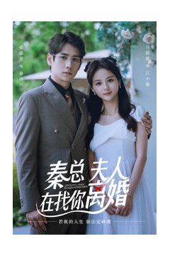 秦总，夫人在找你离婚