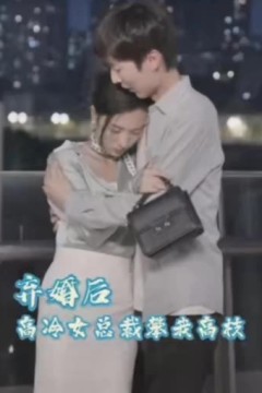 弃婚后，高冷女总裁攀我高枝