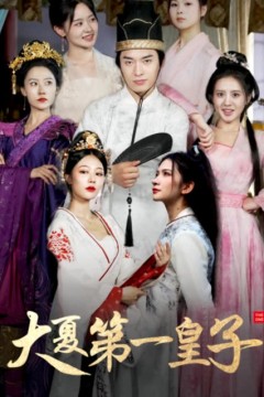 大夏第一皇子