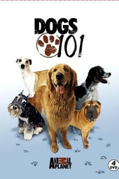 狗狗全纪录第一季