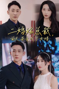 二婚嫁总裁前夫哥竟成了女婿