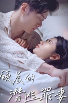 顾总的潜逃罪妻