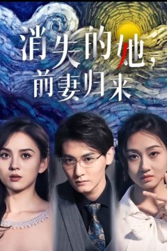 消失的她，前妻归来