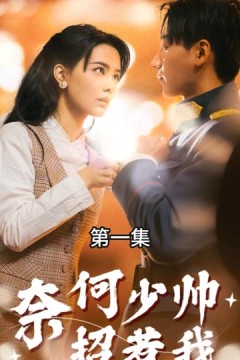 奈何少帅招惹我