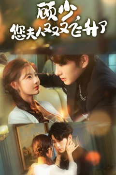 顾少您夫人又又又飞升了