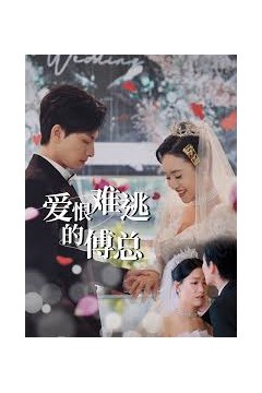 爱恨难逃的傅总