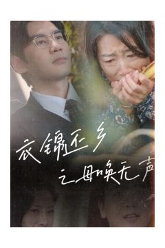 衣锦还乡之母唤无声