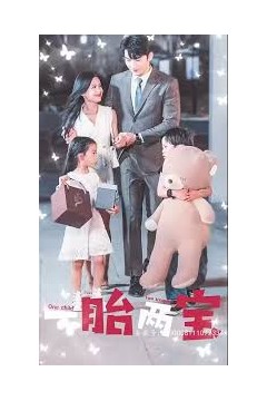 一胎两宝爹地妈咪又怀了