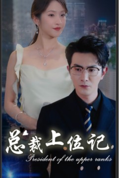 总裁上位记