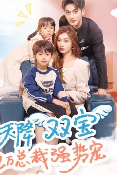 天降双宝，亿万总裁强势宠