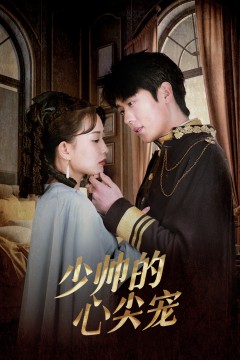 少帅的心尖宠
