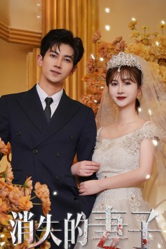 新：消失的妻子