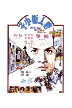 唐人街功夫小子